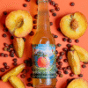 Pjeshkë n'bjeshkë  Kombucha (Pack of 12)