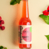 Raspberry Kombucha (Pack of 12)